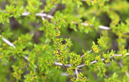 1650856350174539.png image.png