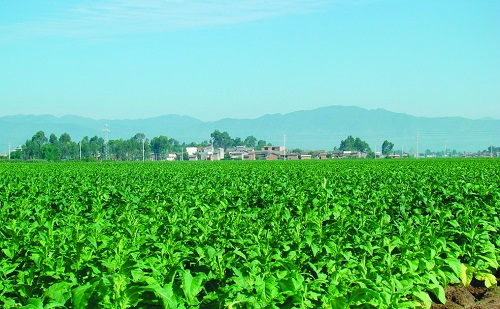 1654140678986941.png image.png