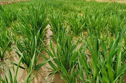 1658460205197862.png image.png