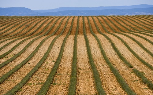 1658806186143828.png image.png