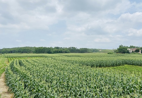 1659508955451656.png image.png