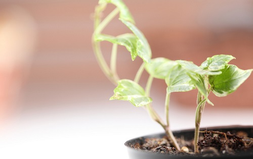 1660188852882267.png image.png