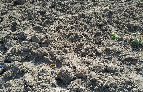 1666333986162765.png image.png