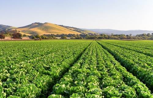 1671178417142391.png image.png