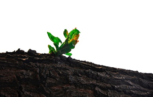 1678079682193433.png image.png