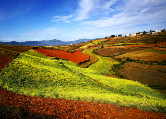 如何使用土壤酸堿度測量儀？